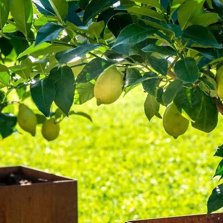 Gartenheim Tramin 3*